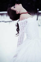 the last winter dance by Lucem