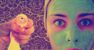 A little bird told me... by sporknfoon