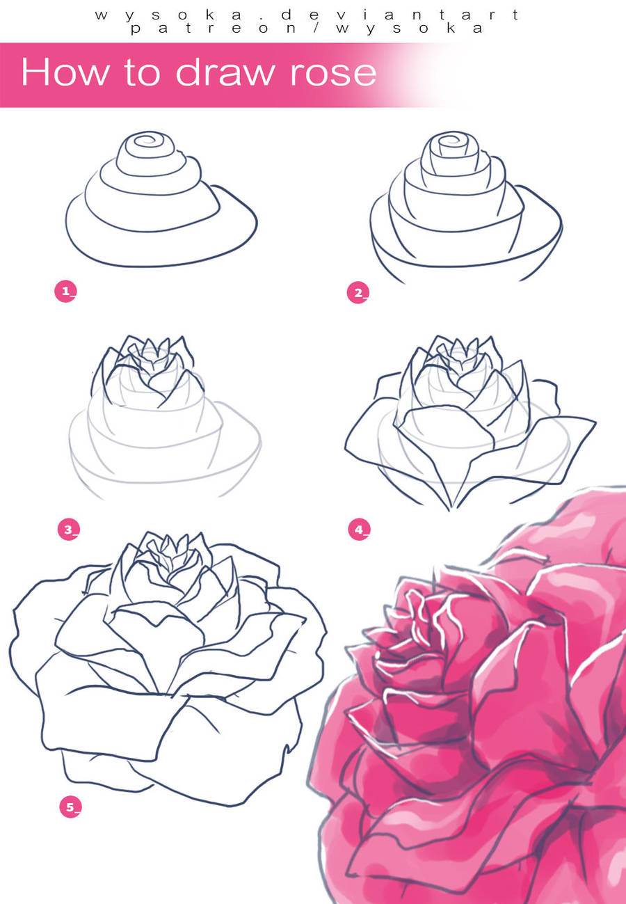 How to Draw Rose by wysoka on DeviantArt