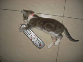 change the channel by arleneruth