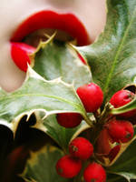 Hold on Christmas by ideea