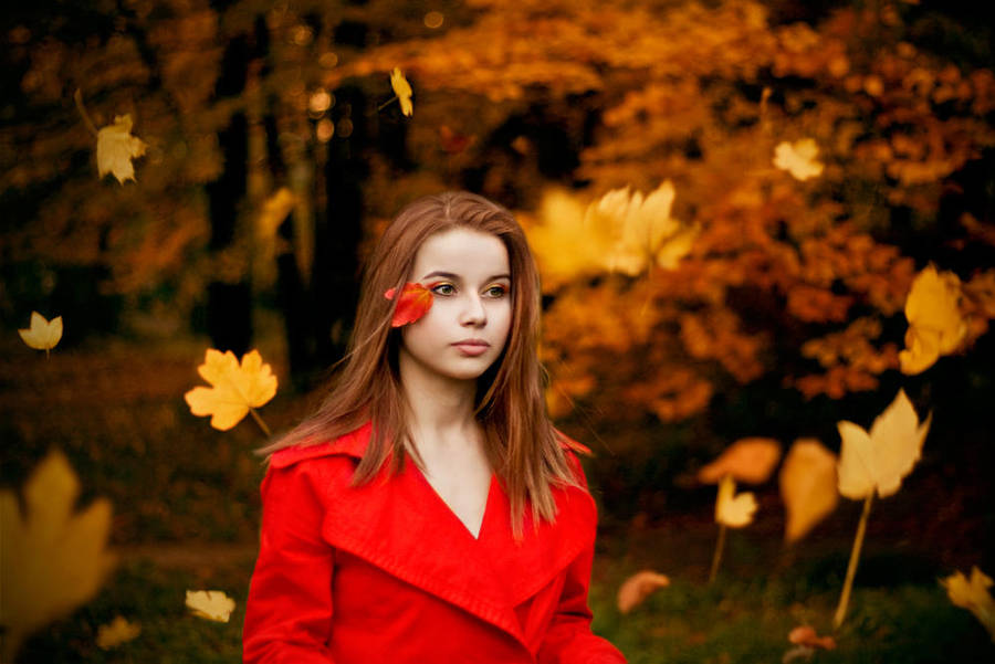 Fall by ideea