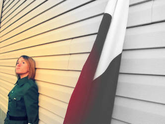 Stand by your Flag by 56danielle56