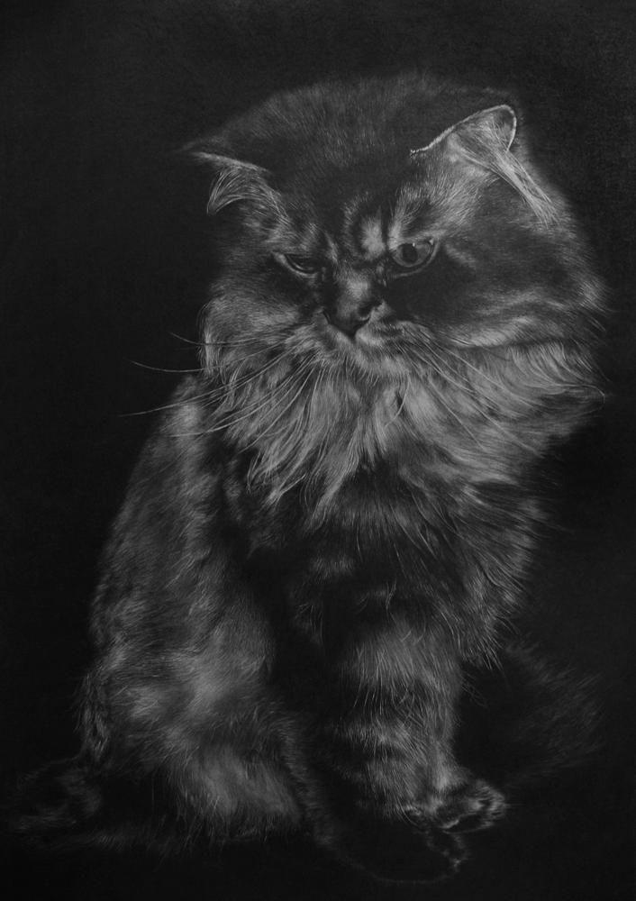 SaiLo - 7th time to draw by paullung