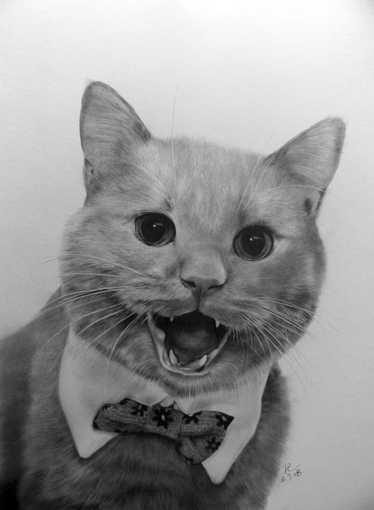 Friend's Cat Mocha by paullung