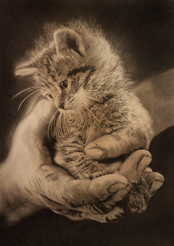 hand and cat by paullung