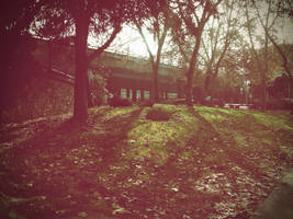 Grassy Noll by theworst24