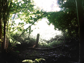 Deep down where nobody can see by dariusberne