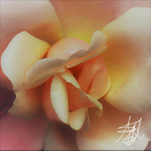 Happy Saturday by 1001G Happy Saturday by 1001G
