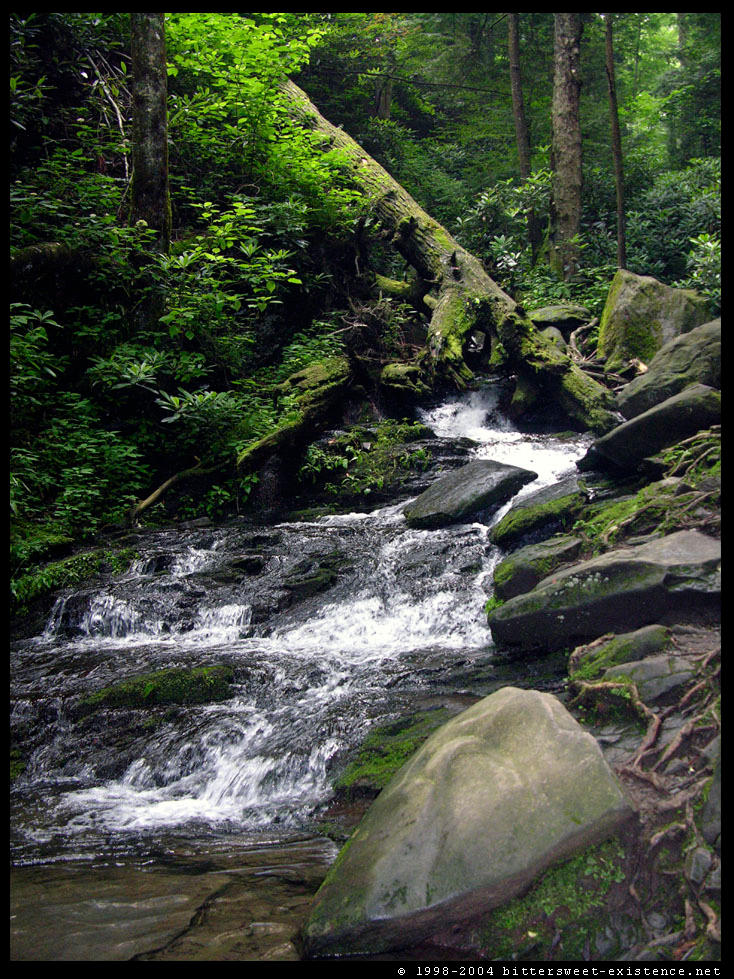 Faerie Cascades II by ransim