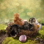 A Nest Full of KITTENS by Kittensoft