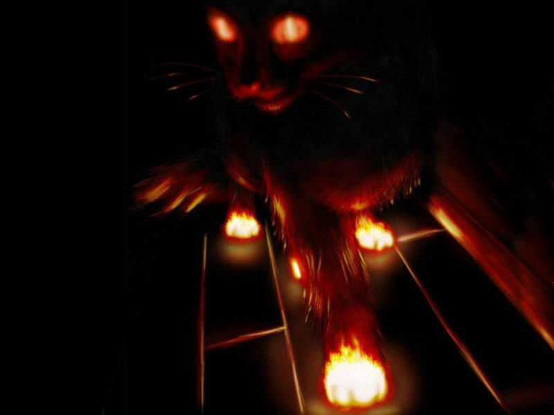Flame Kitten by Heterodyne