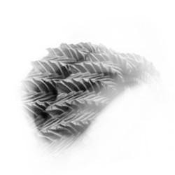 firealpaca brushes messed up firealpaca brushes messed up