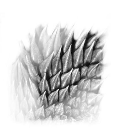 firealpaca brushes hair firealpaca brushes hair