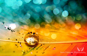 Rainbow II by ironicna