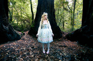 Shimmering by thebooradlus