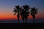 Dark sunrise by Jorapache
