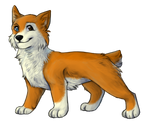 Willow by GingerFlight