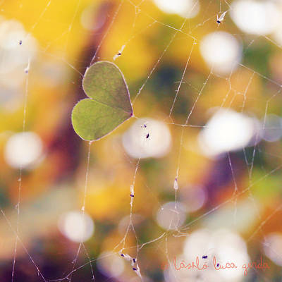 Nature knows best by Bucikah