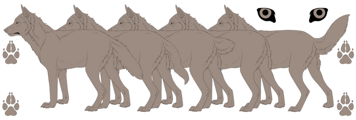 Wolf Template 5 Variations by mistywren