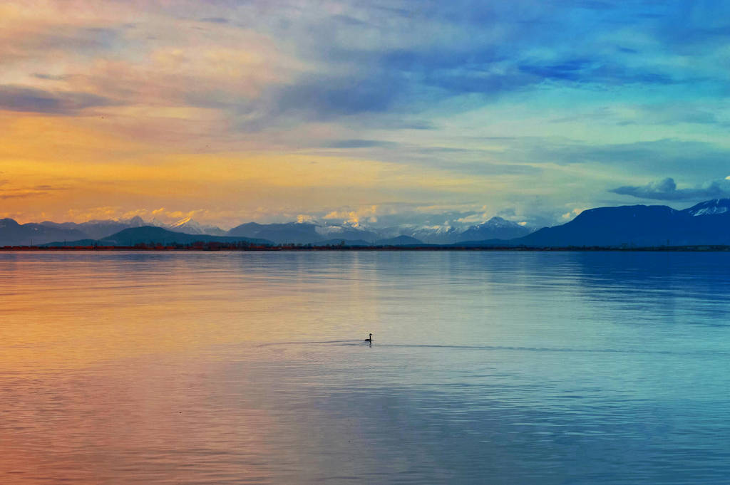 Sunset over Boundary Bay by dashakern