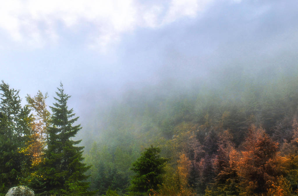 Fall is upon us by dashakern Fall is upon us by dashakern