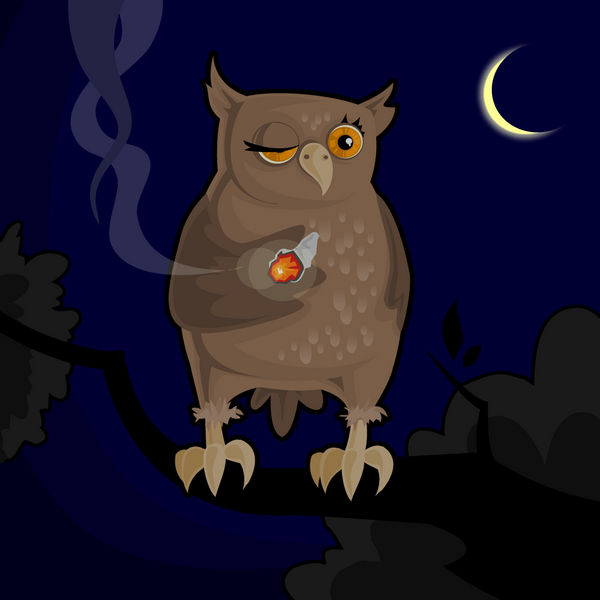 owls relax minute by pudlik on deviantart minute owl
