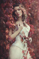 In parthenocissus by Anette89