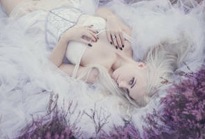 Spilosoma lubricipeda by Anette89