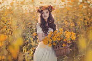 Helianthus tuberosus by Anette89