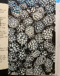 Blackberry progress V by Jane-Vu-Art