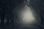 Path II by MikkoLagerstedt
