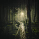 Pathway by MikkoLagerstedt