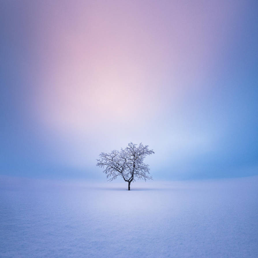 Solitude by MikkoLagerstedt