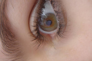 Eye 328 by Starxdust-Stock