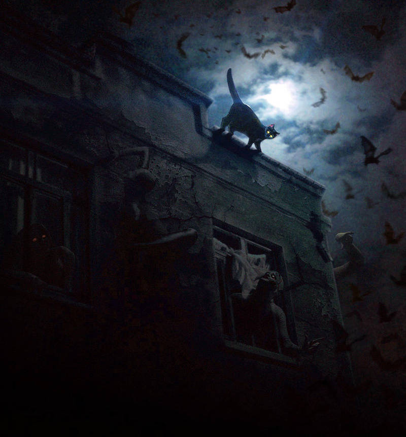 Cat on a Haunted Roof by Mr-Ripley