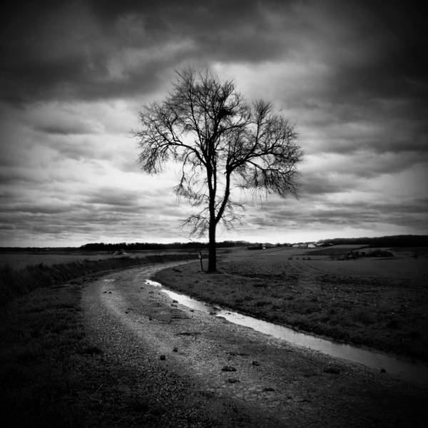 Darkened Days by TaNgeriNegreeN1986