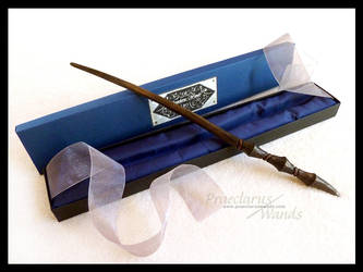 Handmade Wand ''Black Claw'' by PraeclarusWands