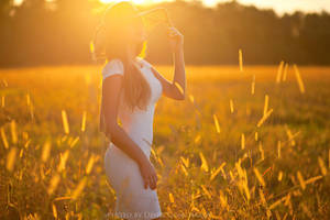 sunset in fields by DenisGoncharov