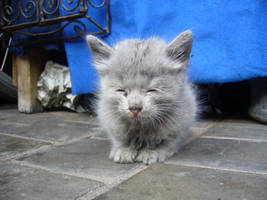 Somewhere by EleaLaFleur