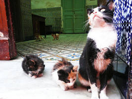 Childhood by EleaLaFleur