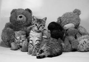 Me To You by EleaLaFleur