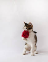 Playing for change by EleaLaFleur