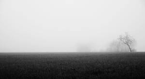 The Tree by EleaLaFleur