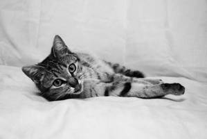 Mariie by EleaLaFleur