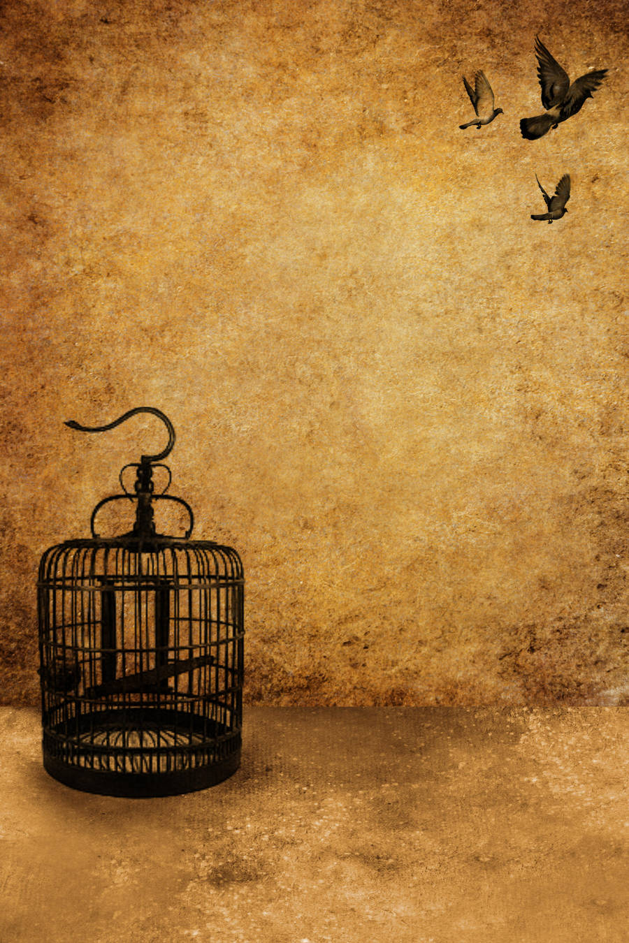 Birdcage Template 6 by sd-stock