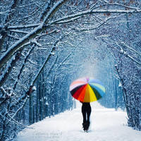 My obsession by islandtime