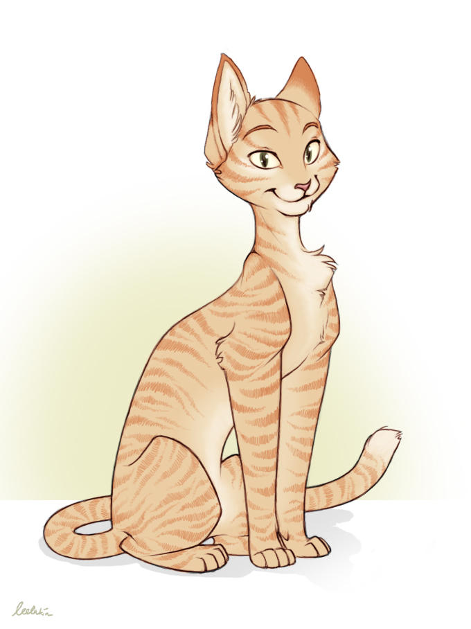 Tabby Cat by leelakin