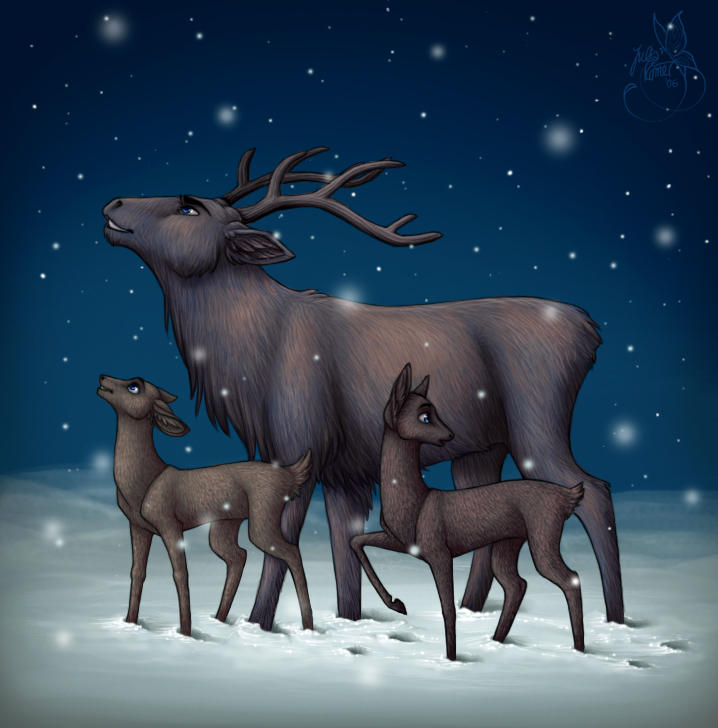 .: Christmas Night :. by leelakin