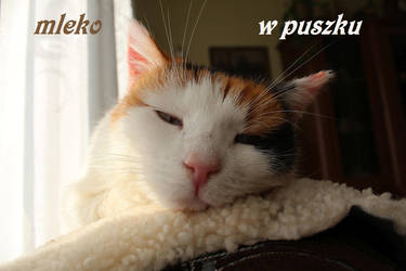 Mleko w puszku by Abrimaal